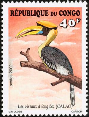 Colnect-2595-218-Rufous-Hornbill-Buceros-hydrocorax.jpg