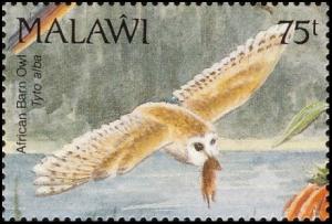 Colnect-3388-911-Western-Barn-Owl-Tyto-alba.jpg