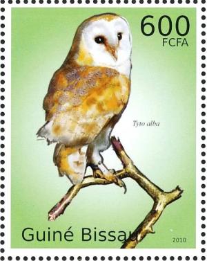 Colnect-3967-935-Western-Barn-Owl-Tyto-alba.jpg