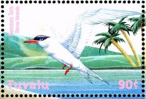 Colnect-4008-341-Common-Tern%C2%A0%C2%A0%C2%A0%C2%A0Sterna-hirundo.jpg