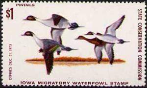 Colnect-6297-128-Northern-Pintail-Anas-acuta.jpg