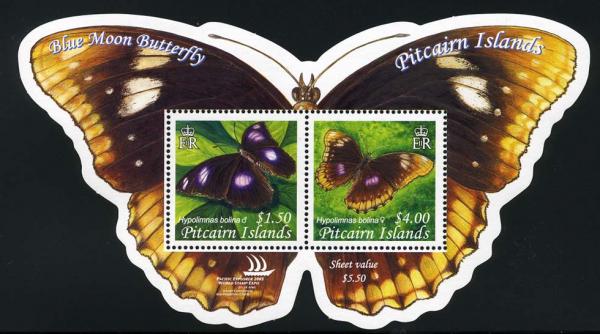 Skap-pitcairn_04_bfly.jpg