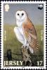 Colnect-6080-513-Western-Barn-Owl-Tyto-alba.jpg