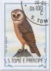 Colnect-953-764-Sao-Tome-Barn-Owl-Tyto-alba-thomensis.jpg