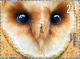 Colnect-2961-702-Western-Barn-Owl-Tyto-alba.jpg