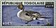 Colnect-5646-477-Northern-Pintail-Anas-acuta.jpg