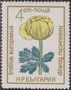 Colnect-1469-156-Trollius-europaeus.jpg