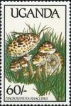 Colnect-1712-392-Macrolepiota-rhacodes.jpg