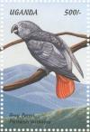 Colnect-1715-785-Grey-Parrot-Psittacus-erithacus.jpg