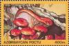 Colnect-196-084-Hygrophorus-spectosus.jpg