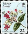 Colnect-2204-213-Clerodendrum-thomsonae.jpg