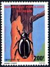 Colnect-2302-541-Rhinoceros-Beetle-Oryctes-sp-.jpg