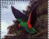 Colnect-2425-152-Eclectus-Parrot-Eclectus-roratus---Male.jpg