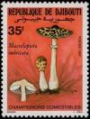 Colnect-2803-574-Macrolepiota-imbrcata.jpg