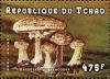 Colnect-3001-694-Macrolepiota-rhacodes.jpg