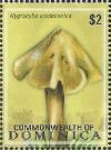 Colnect-3278-378-Hygrocybe-acutoconica.jpg