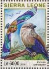 Colnect-3566-105-Blue-bellied-Roller---Coracias-cyanogaster.jpg