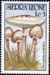 Colnect-3779-589-Chlorophyllum-molybdites.jpg