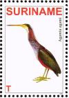 Colnect-3837-102-Agami-Heron%C2%A0%C2%A0%C2%A0%C2%A0Agamia-agami.jpg