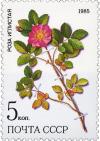 Colnect-3988-973-Rosa-Acicularis.jpg