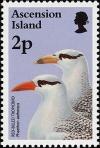 Colnect-4414-464-Red-billed-Tropicbird-Phaethon-aethereus.jpg