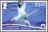 Colnect-4414-487-Red-billed-Tropicbird-Phaethon-aethereus.jpg