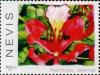 Colnect-5163-950-Royal-Poinciana.jpg