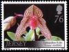 Colnect-706-311-Paphiopedilum-Rolfei--lsquo-Trinity-rsquo--.jpg