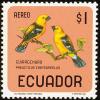 Colnect-734-539-Southern-Yellow-Grosbeak-Pheucticus-chrysogaster.jpg