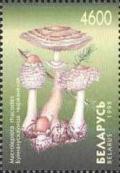 Colnect-1049-015-Macrolepiota-rhacodes.jpg