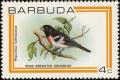 Colnect-1506-834-Rose-breasted-Grosbeak-Pheucticus-ludovicianus.jpg