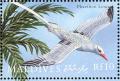 Colnect-1631-371-Red-billed-Tropicbird-Phaethon-aethereus.jpg