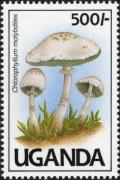 Colnect-1712-429-Chlorophyllum-molybdites.jpg