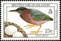 Colnect-2620-872-Green-Heron-Butorides-virescens.jpg