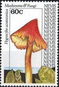 Colnect-2890-966-Hygrocybe-acutoconica.jpg