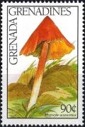 Colnect-2942-652-Hygrocybe-acutoconica.jpg