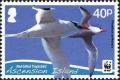 Colnect-4414-485-Red-billed-Tropicbird-Phaethon-aethereus.jpg