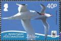 Colnect-4414-489-Red-billed-Tropicbird-Phaethon-aethereus.jpg