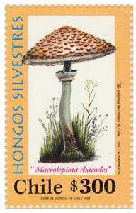 Colnect-539-605-Macrolepiota-rhacodes.jpg