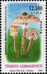 Colnect-759-523-Macrolepiota-Procera.jpg