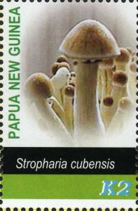 Colnect-3197-729-Stropharia-cubensis.jpg