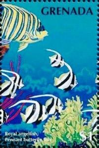 Colnect-4391-355-Royal-angelfish.jpg