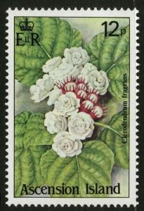 Colnect-1689-536-Clerodendrum-Fragrans.jpg