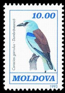 Colnect-348-283-European-Roller-Coracias-garrulus.jpg