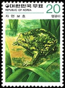 Colnect-2607-895-Rain-Frog-Koloula-borealis-.jpg