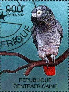 Colnect-3075-324-Grey-Parrot-Psittacus-erithacus.jpg