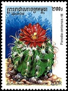 Colnect-803-096-Parodia-Cintiensis.jpg