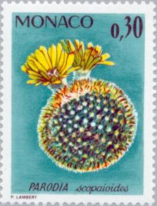 Colnect-148-416-Parodia-scopaioides.jpg