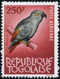 Colnect-5138-076-Grey-Parrot-Psittacus-erithacus.jpg