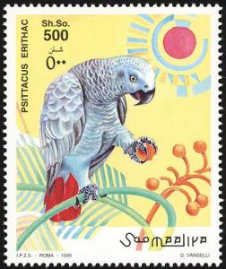 Colnect-1744-819-Grey-Parrot-Psittacus-erithacus.jpg